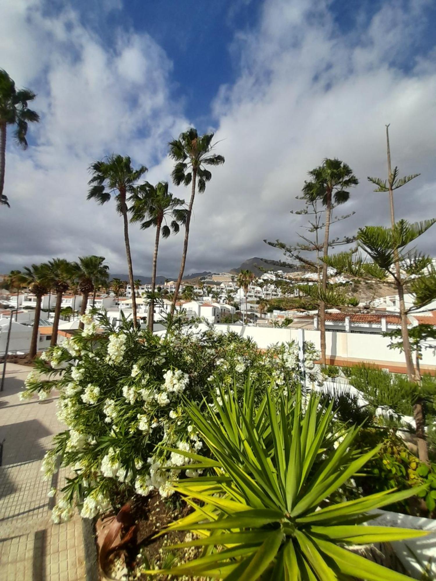 Apartments Island Village Heights Costa Adeje  Exterior photo